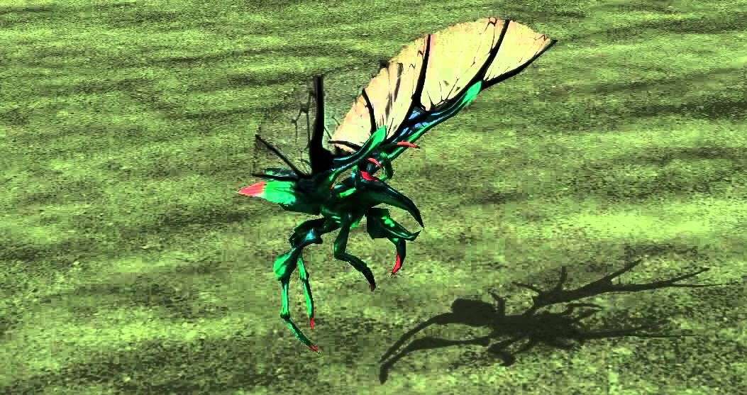 Hopper Bug