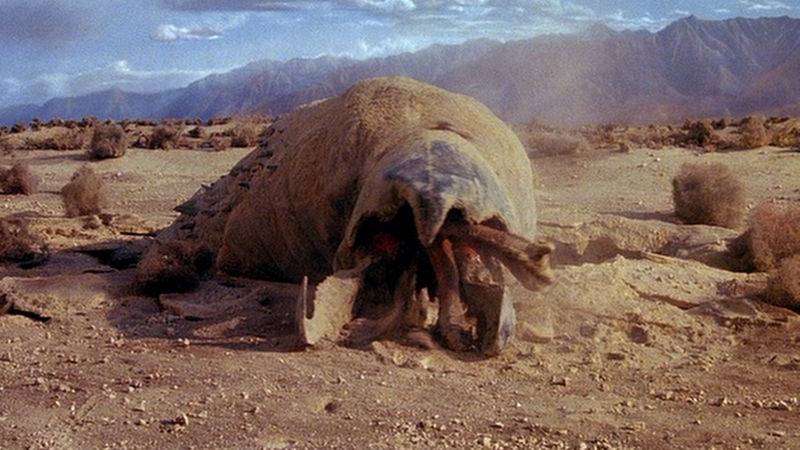 Standard Graboids (American variant)