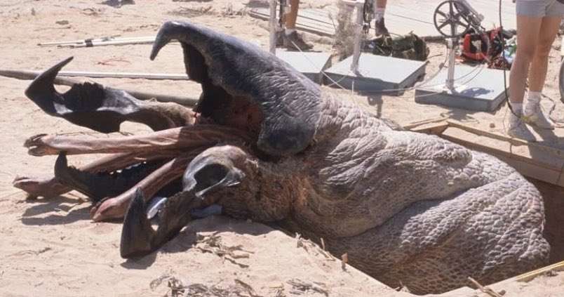 What Are Graboids And What Is Their Origin