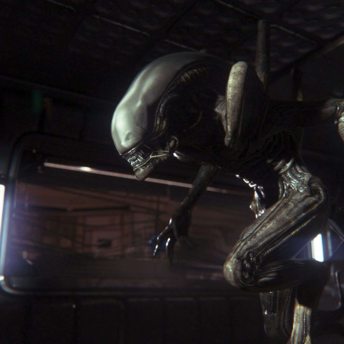 Are Xenomorphs Blind - How Do They Communicate