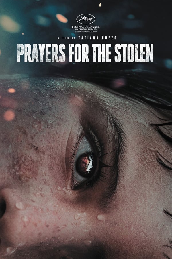 Is Prayers for the Stolen on Netflix