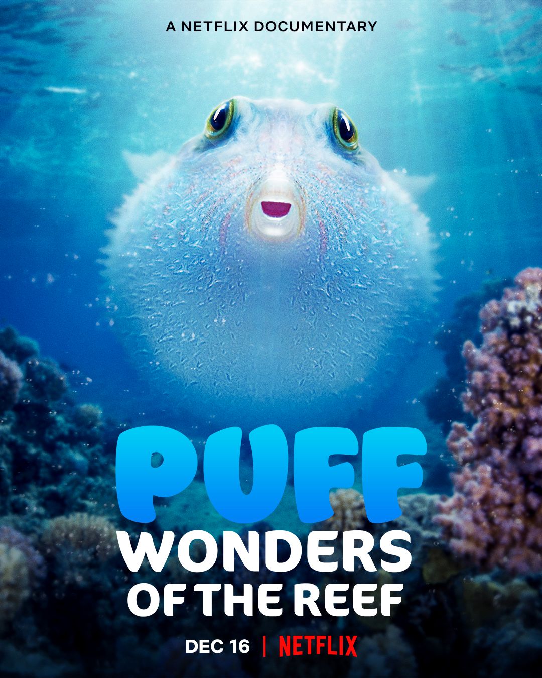 Is Puff Wonders of the Reef on Netflix