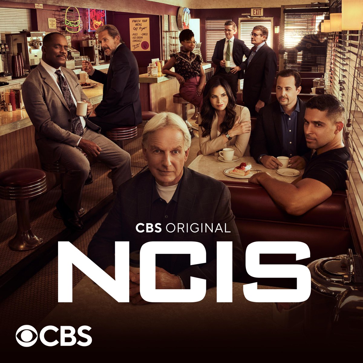 Where to Watch NCIS Season 19