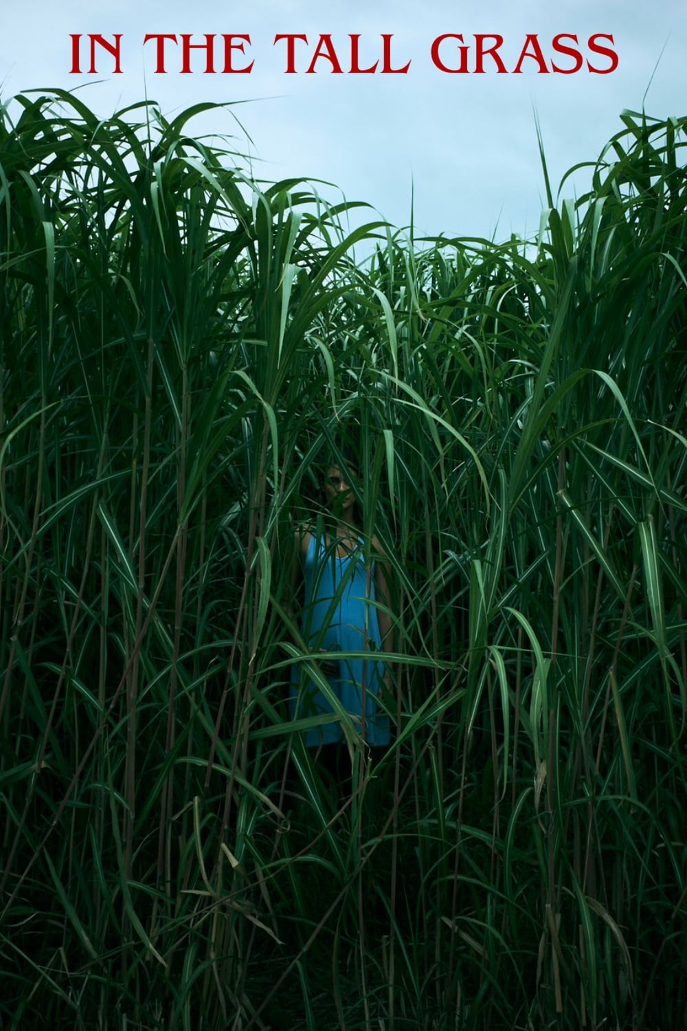 IN THE TALL GRASS (2019)