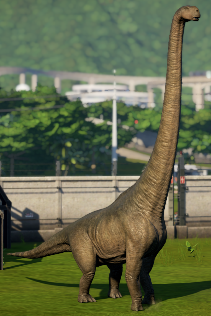 Dreadnoughtus