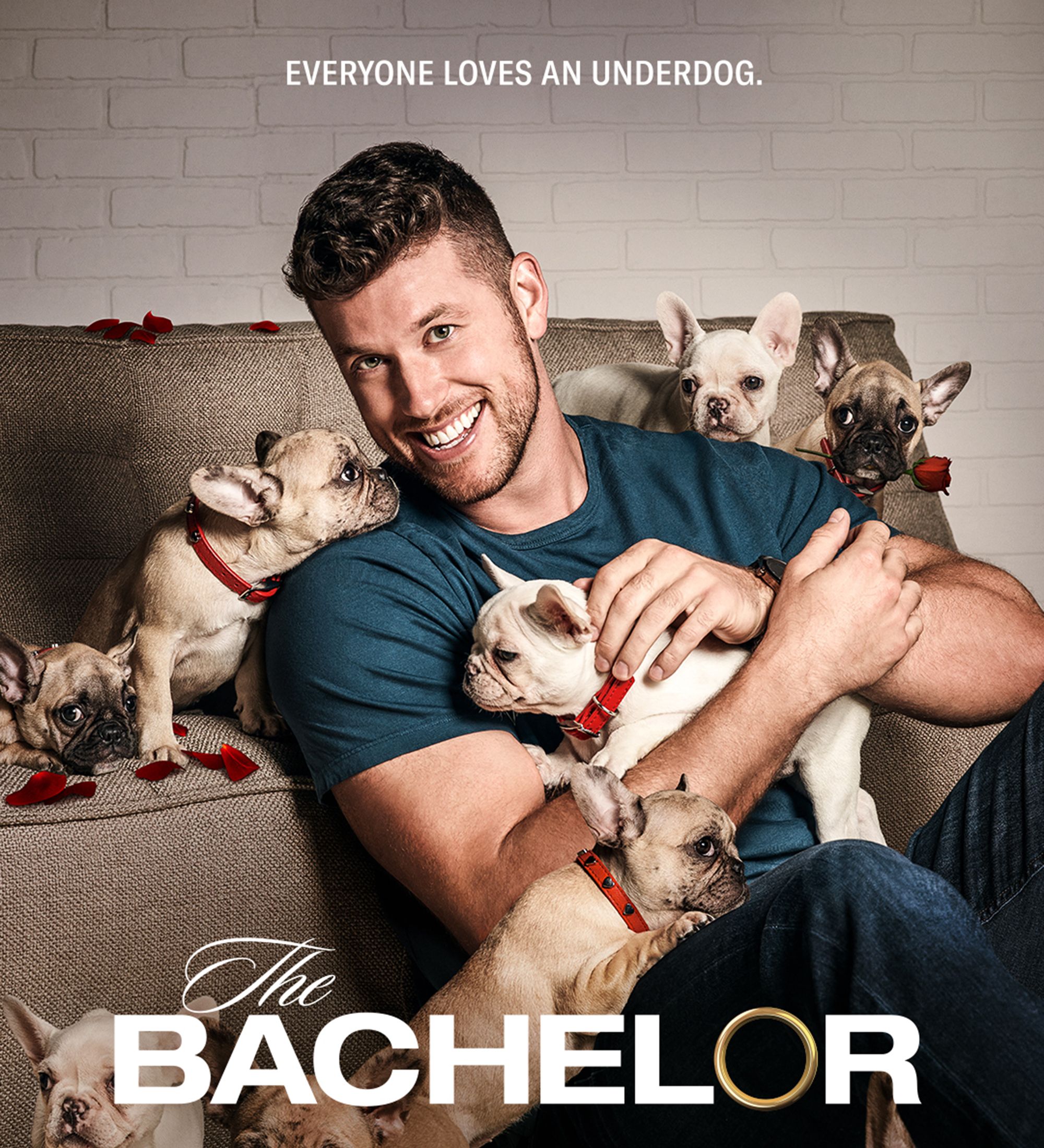 Is “The Bachelor Season 26” on ABC