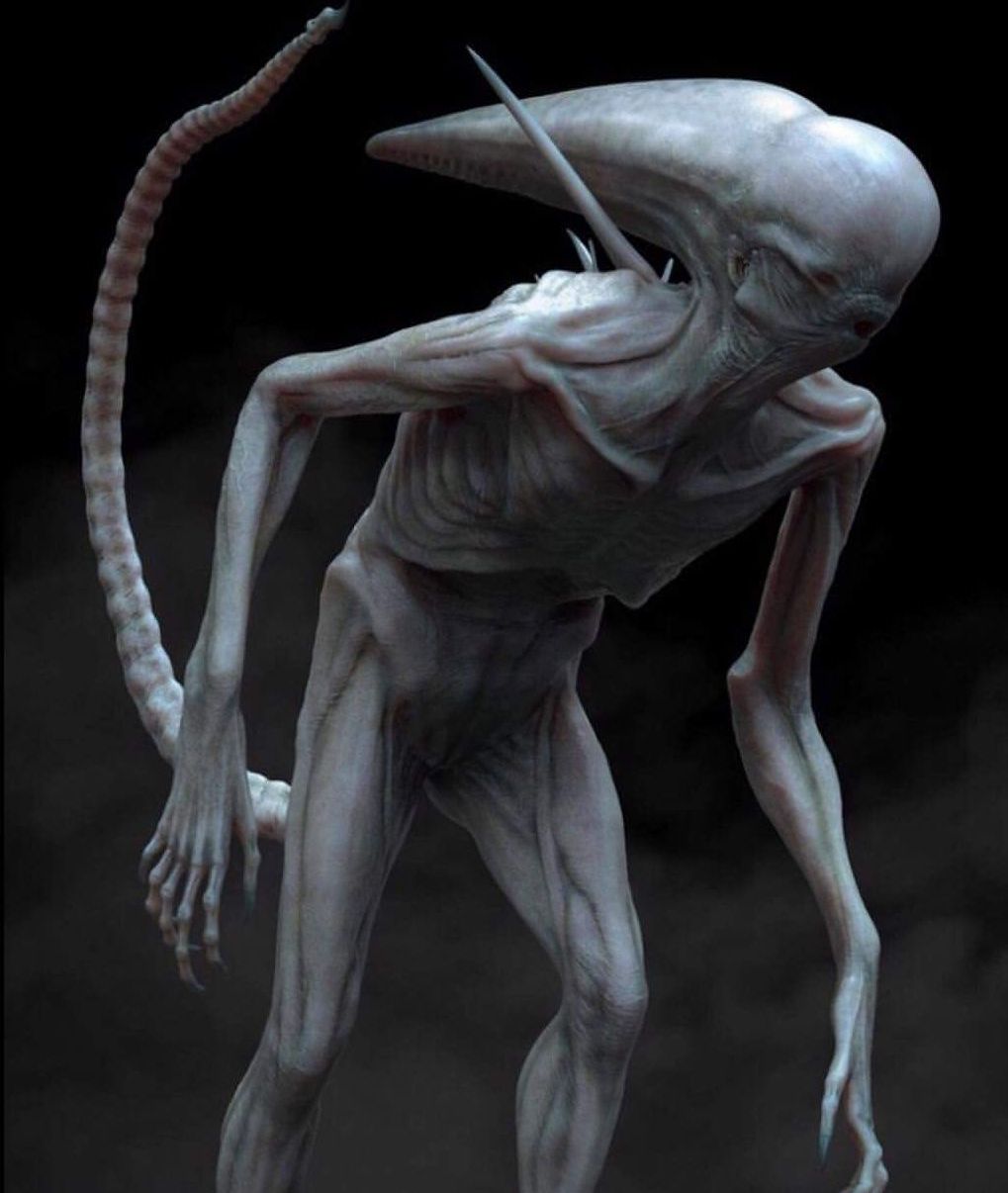 Neomorph