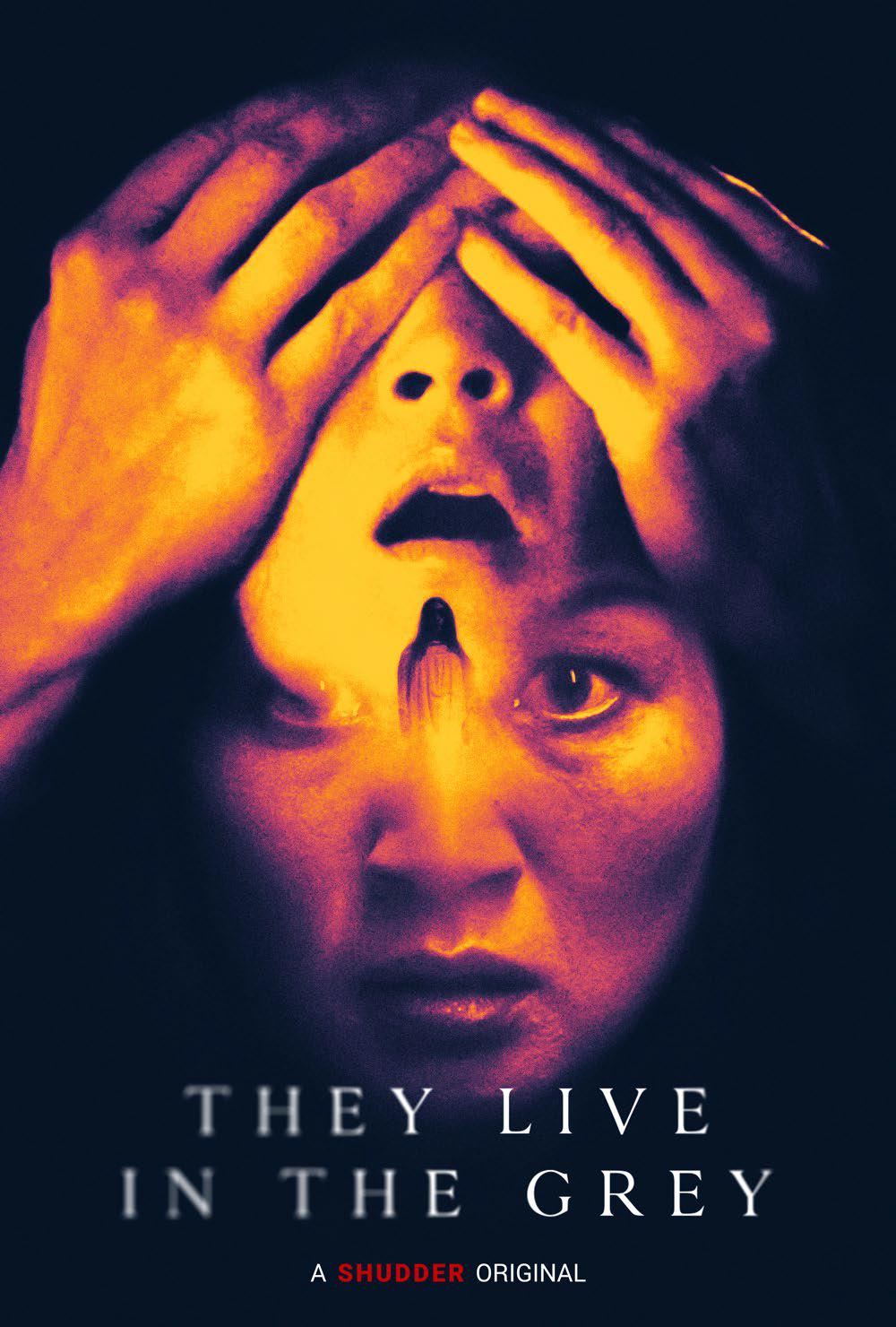 Where to stream the series They Live in the Grey (2022)