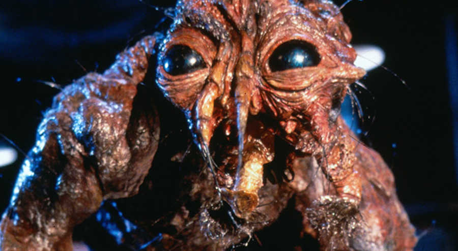 BRUNDLEFLY from THE FLY (1986)