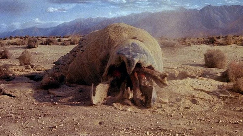 Graboids