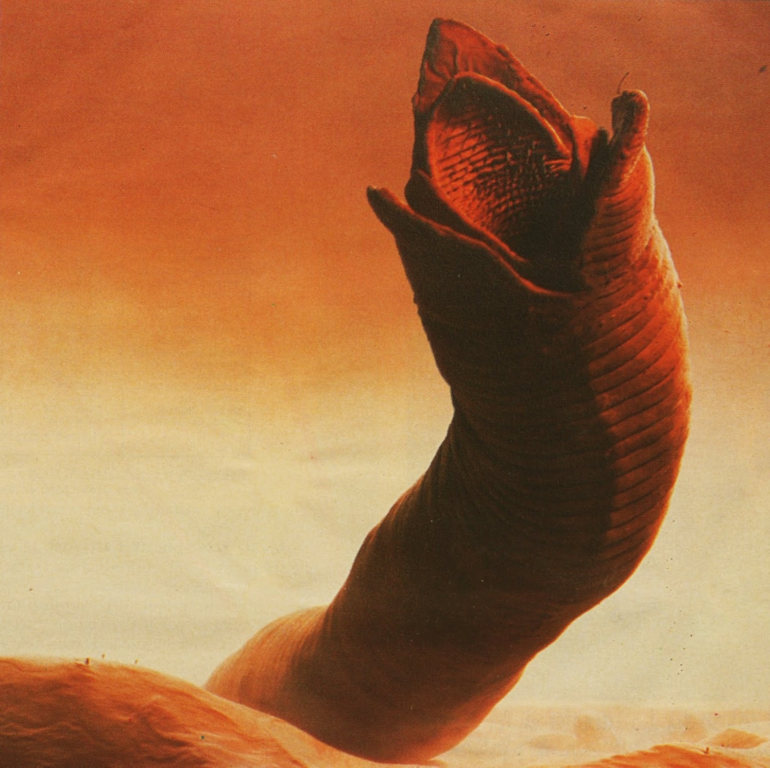 Sandworm