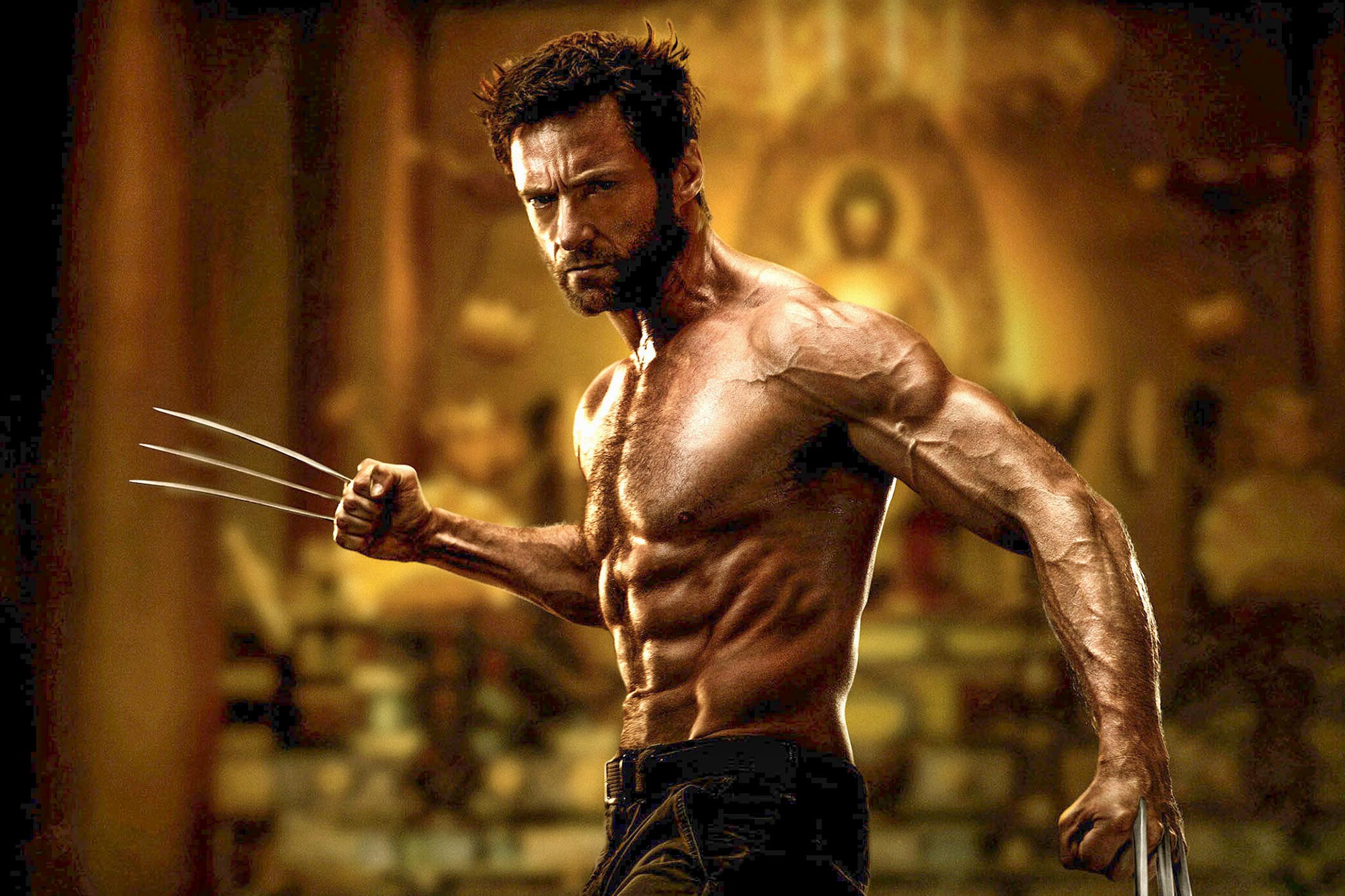 The Wolverine (2012)Hugh Jackman as Wolverine