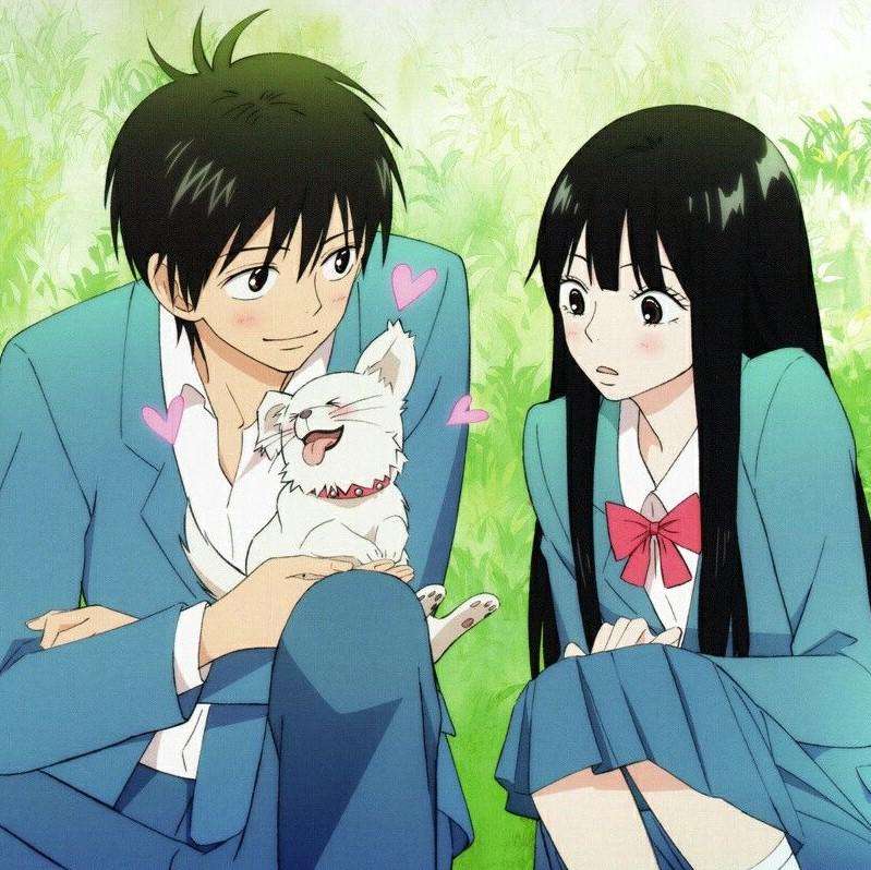 Kimi ni Todoke