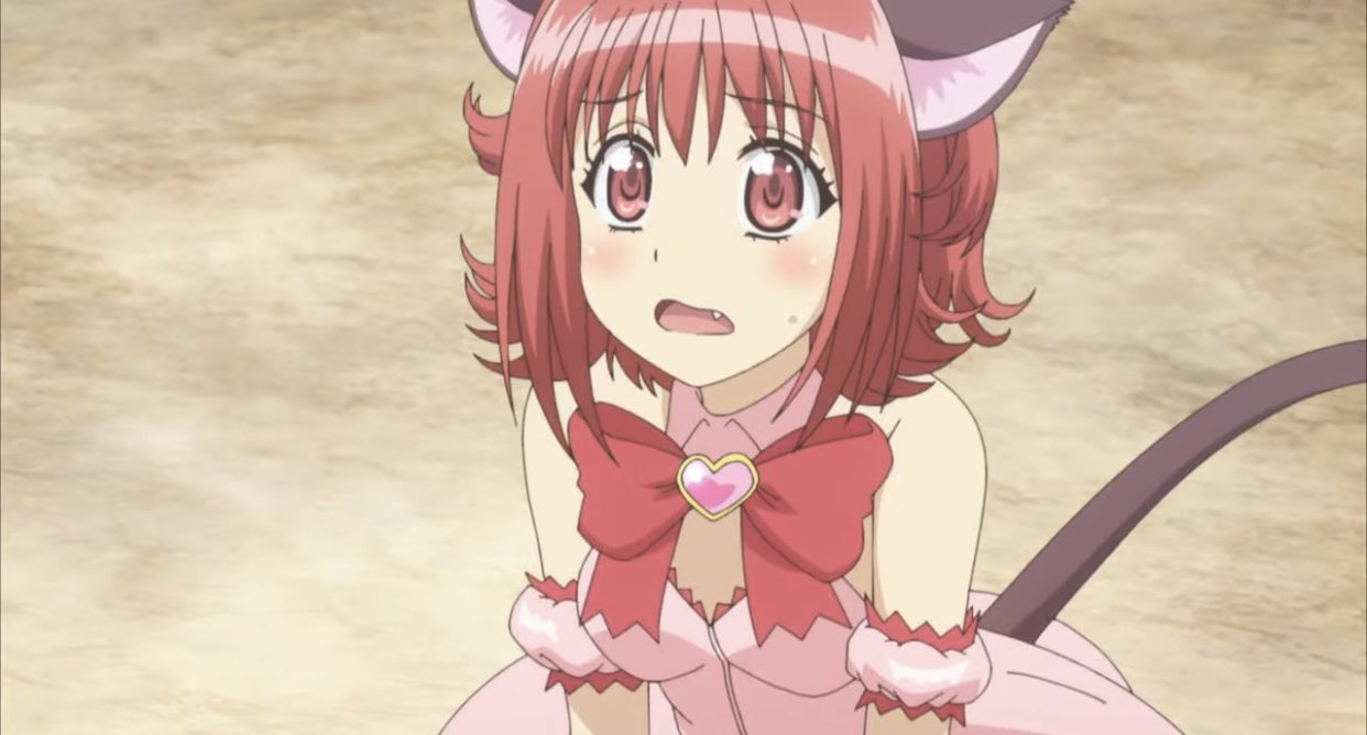 What is going to be the plot of Tokyo Mew Mew New