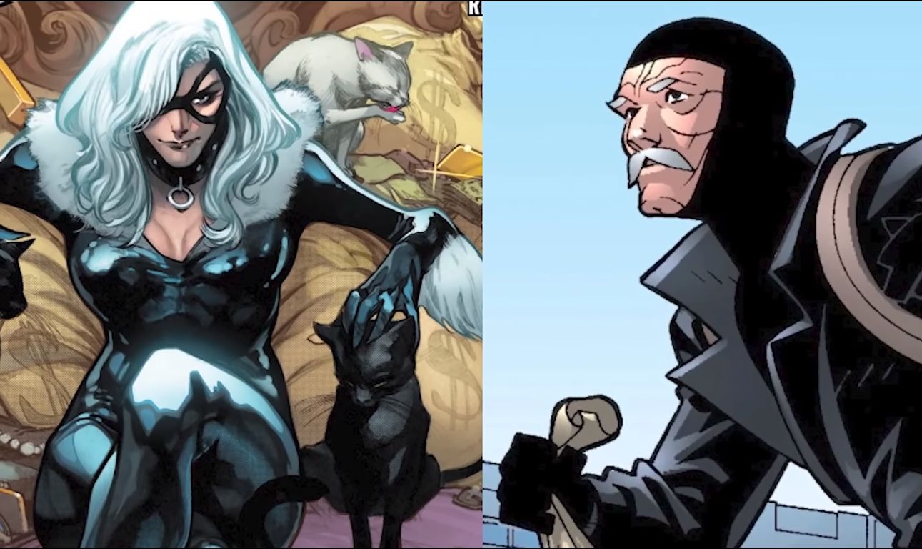 Black Cat And Black Fox