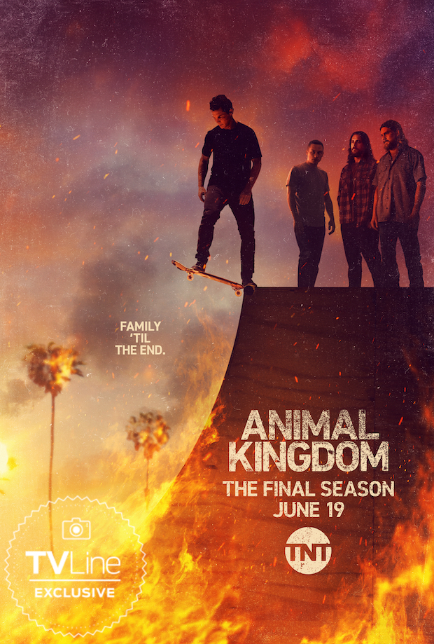 Where to Watch Animal Kingdom Season 6 (2022)