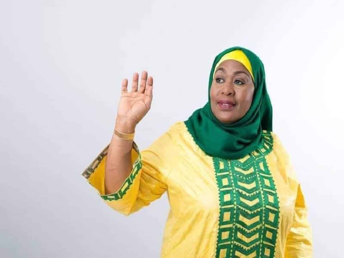 What are some of the steps Samia Suluhu Hassan has taken to make her county more attractive investments