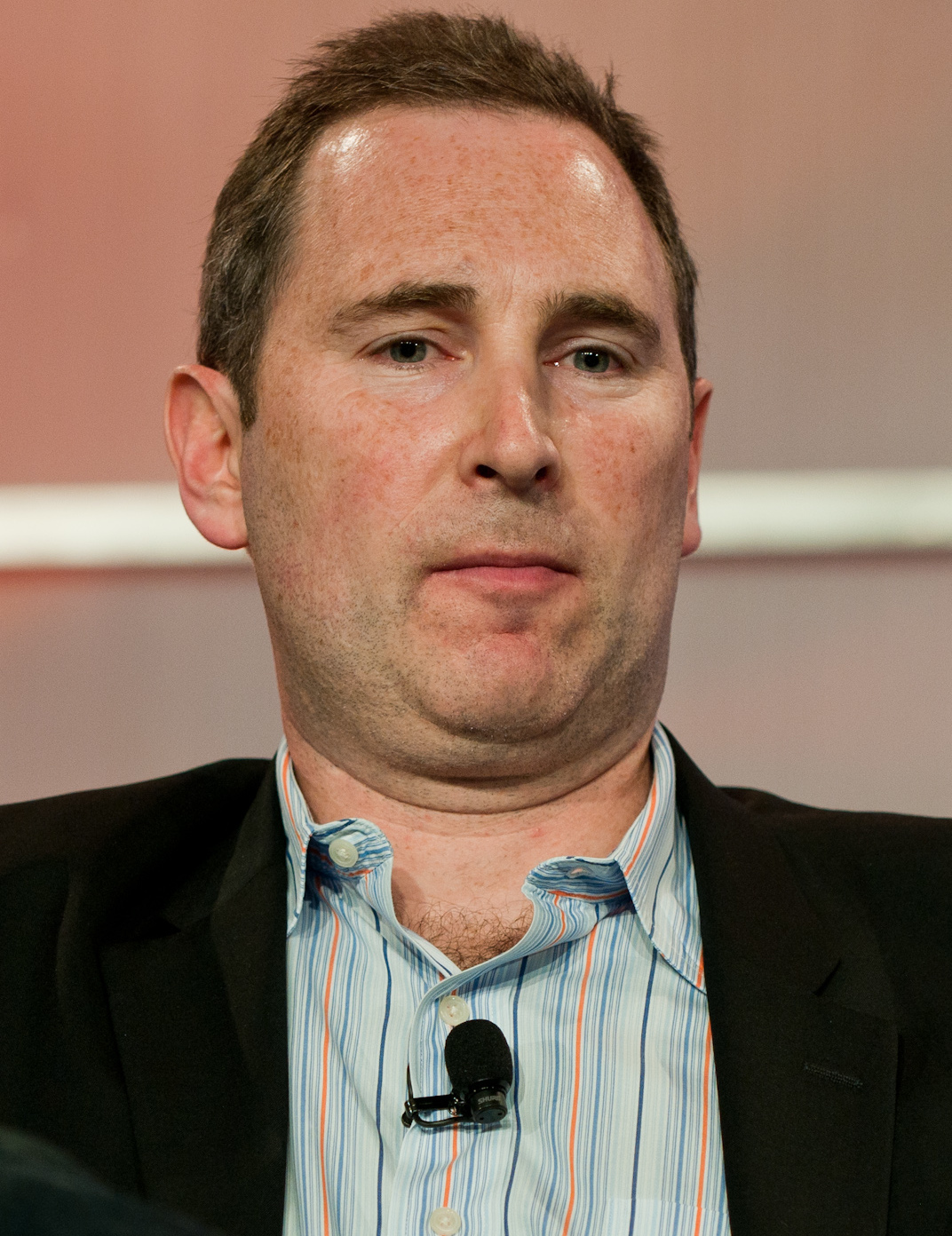 What has Andy Jassy achieved in the course of his professional journey