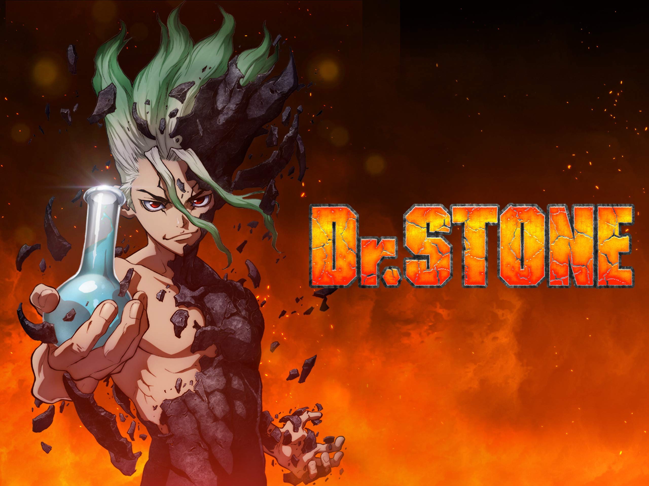 Dr. Stone