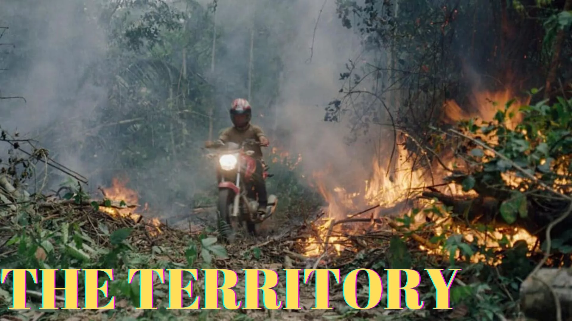 The Territory (2022)