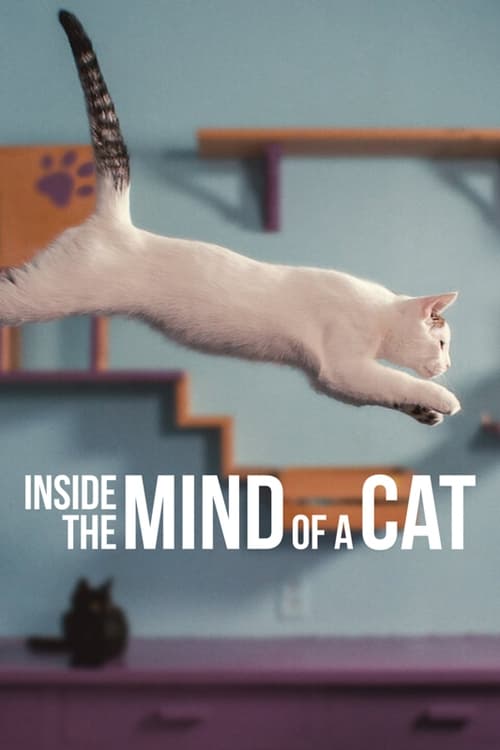 Where to Watch Inside the Mind of a Cat (2022)